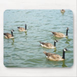 Canadian geese mouse mats