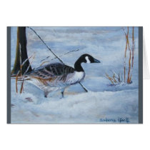 Canadian Goose Cards