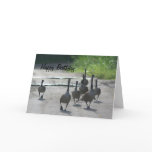 Canadian Goose Family Nature Photo Birthday Card
