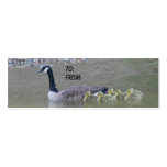 Canadian Goose Mum Babies Nature Gift Tag business cards