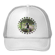 Canadian Goose Nesting Baseball Hat