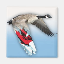 canadian goose refrigerator magnet