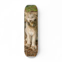 Canadian Lynx 0169e skateboards