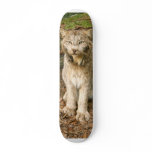 Canadian Lynx 0169e skateboards