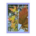 CANADIAN MAPLE LEAVES BOOKMARKS postcards