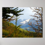 Canadian Rockies Poster