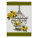 Canary and Dafodills cards