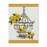Canary and Dafodills Postcard
