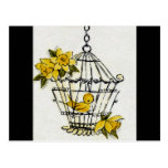 Canary and Dafodills Postcards