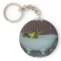 Canary bath key chains
