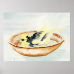 Canary Bathing Print