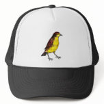 Canary Bird hats