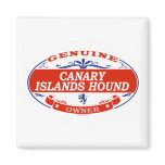 Canary Islands Hound  magnets
