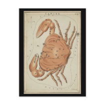 Cancer the Crab