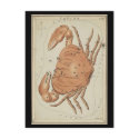 Cancer the Crab postcards