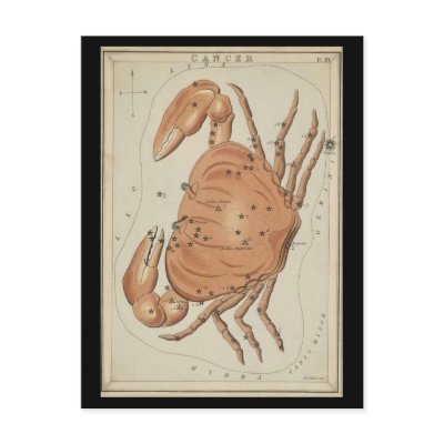 Cancer the Crab Postcard by ZephyrusBooks