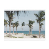 Cancun Palms Post Cards