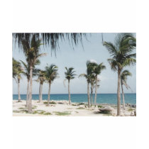 Cancun Palms Tees