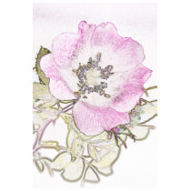 Candy Brier Rose t-shirts