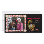Candy Cane Squirrel Holiday Photo Card photo cards
