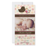 Candy Damask Chicks Birth Announcement Photo Card photo cards