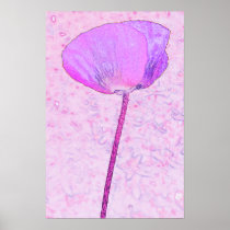 Candy pink poppy ...poster posters