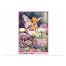 Candytuft Fairy Postcard