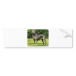 Cane Corso 8R056D-05 bumper stickers