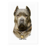 Cane Corso 8R060D-09 business cards
