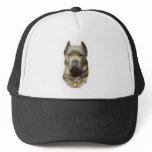 Cane Corso 8R060D-09 Mesh Hats