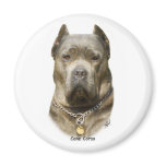 Cane Corso 8R060D-09 magnets
