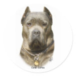 Cane Corso 8R060D-09 Stickers