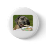 Cane Corso 8R060D-19 Pinback Button