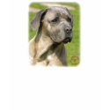 Cane Corso 8R061D-09 t-shirts