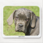 Cane Corso 8R062D-25 Mouse Pads
