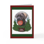 Cane Corso Christmas Gifts Greeting Cards