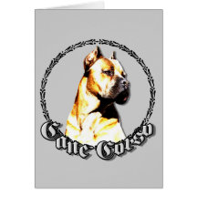 Cane corso greeting card