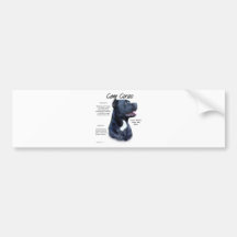 Cane Corso History Design Bumper Sticker