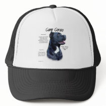 Cane Corso History Design