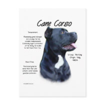 Cane Corso History Design