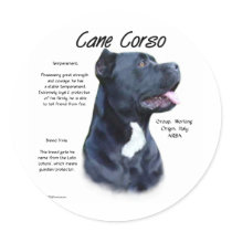 Cane Corso History Design