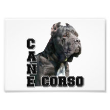 Cane Corso Photo Art