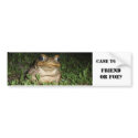 Cane Toad Bumper Sticker bumper stickers