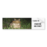 Cane Toad Bumper Sticker bumper stickers