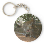 Cangaroo family keychains