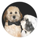 Canine Bride and Groom stickers