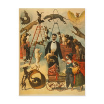 Canine Circus - Postcard #1