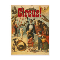 Canine Circus - Postcard #2 postcards