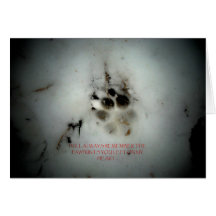 Canine Sympathy Condolance Card