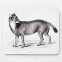 Canis Antarcticus Mouse Pad